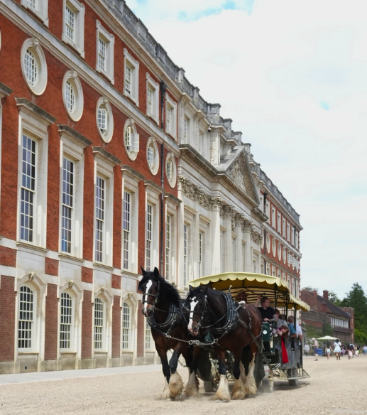 Horses in the palace parkland